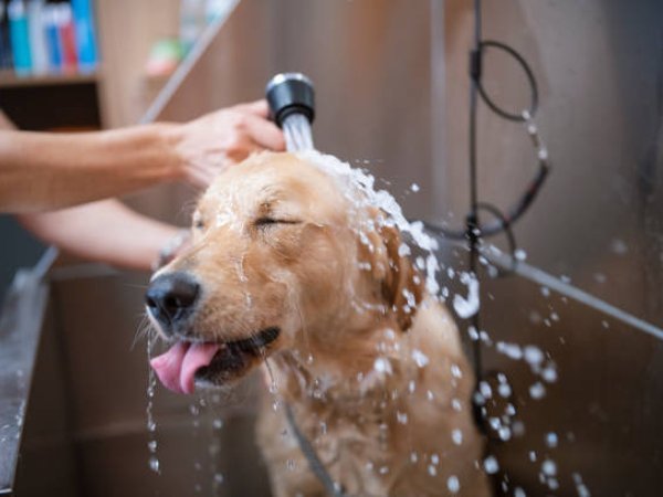 Spa Treatments